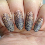Boba (B330) - Deep Brown Stamping Polish