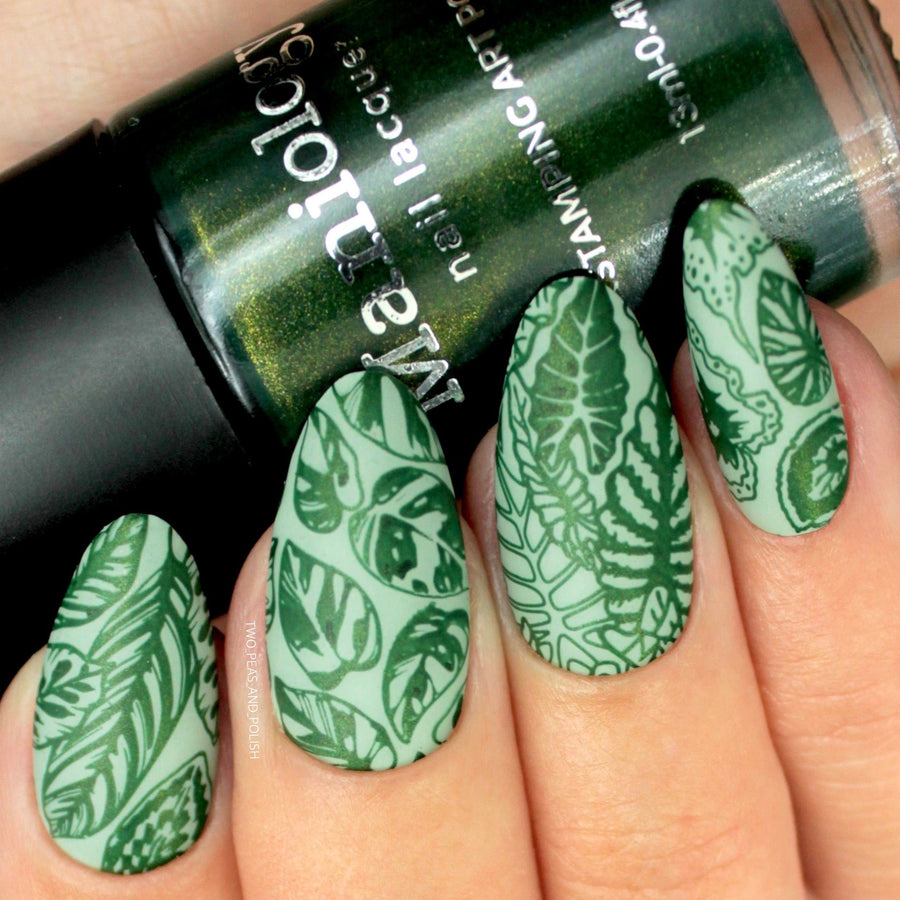 Alocasia (B441) - Shimmer Forest Green Stamping Polish