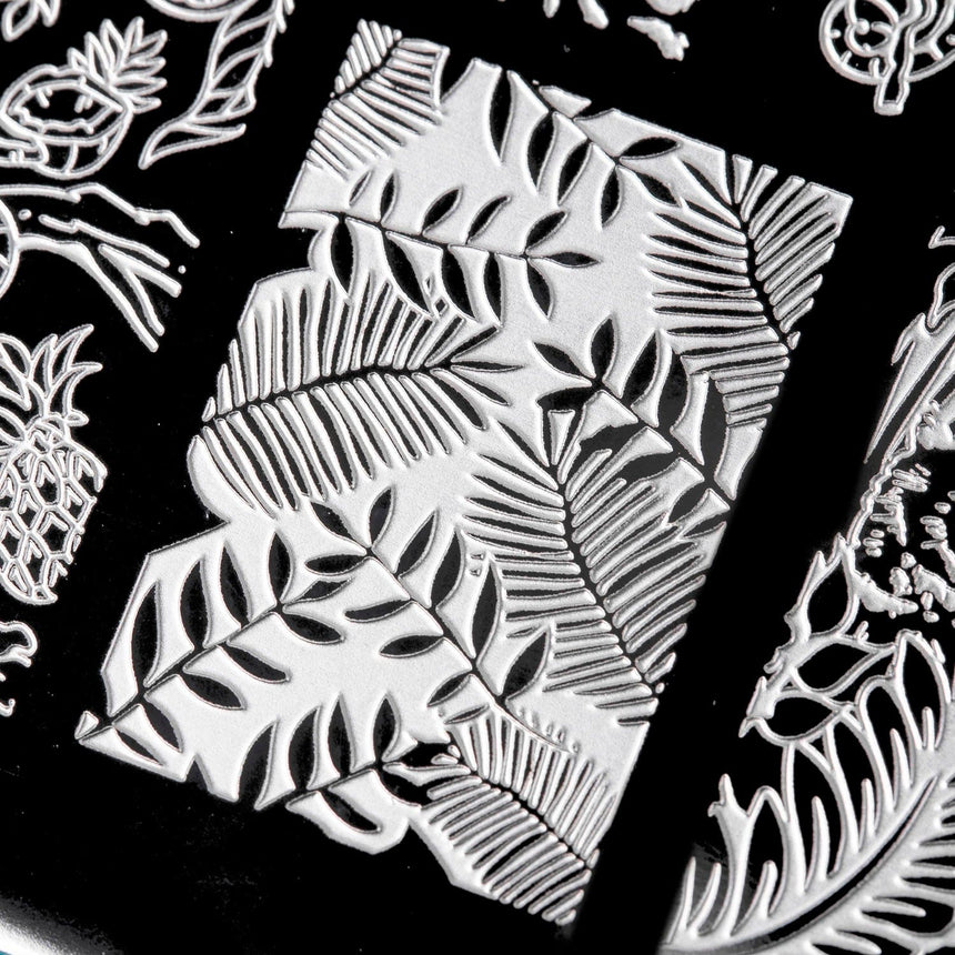 Into the Wild: Jungle Beat (MXM083) - Nail Stamping Plate