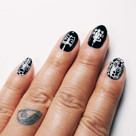 On the Prowl: Cat-Themed Nail Stamping Starter Kit