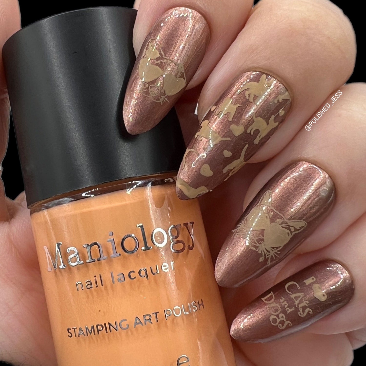 Pawfect (B473) - Coral Cream Stamping Polish