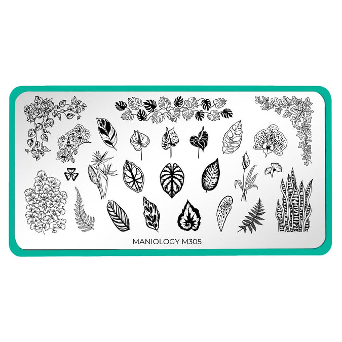 Plant Lover Nail Stamping Plate | Maniology