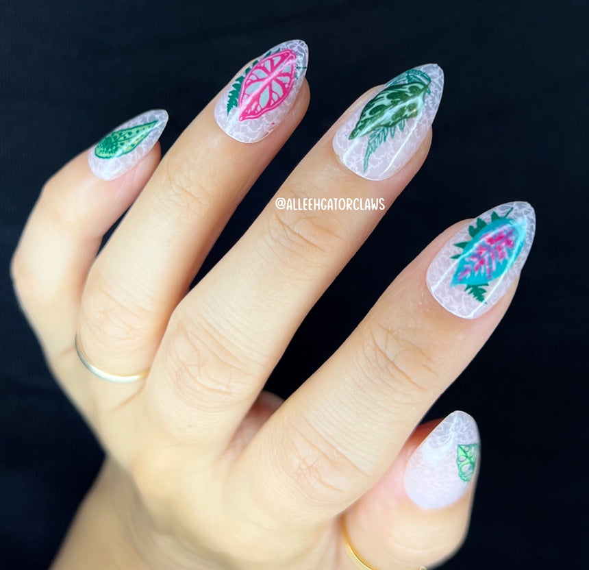 Plant Lover (M305) - Nail Stamping Plate