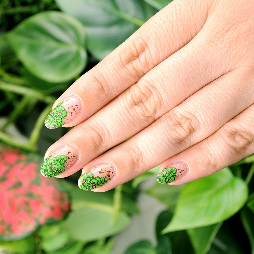 Plant Lover (M305) - Nail Stamping Plate