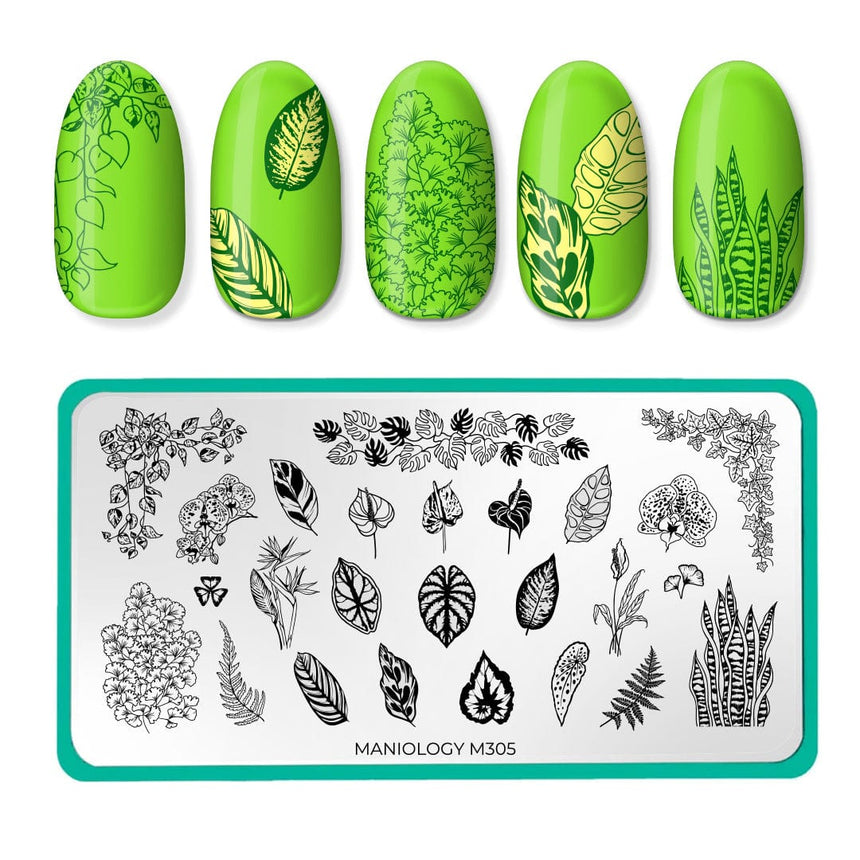 Plant Lover (M305) - Nail Stamping Plate