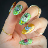 Pot of Gold (M355) - Nail Stamping Plate