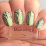  A manicured hand made with Scarab Wings Golden Green Duochrome Nail Art Powder holdong a stamper by Maniology.