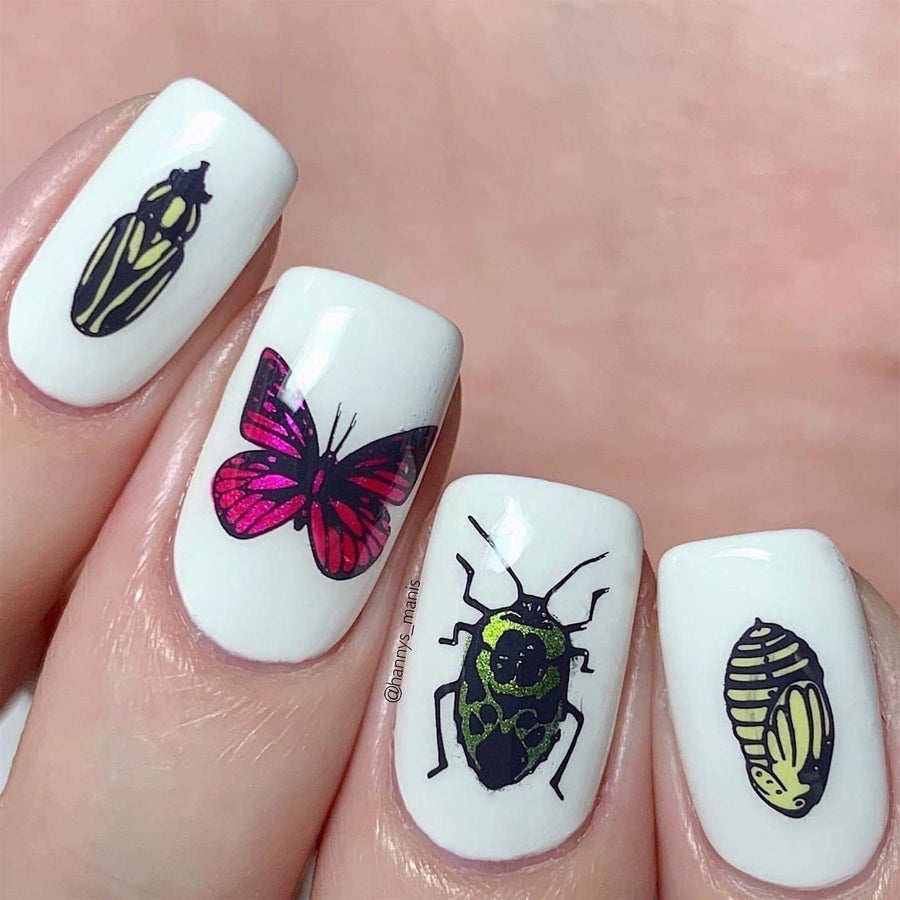 A manicured hand made with Scarab Wings Golden Green Duochrome Nail Art Powder by Maniology.