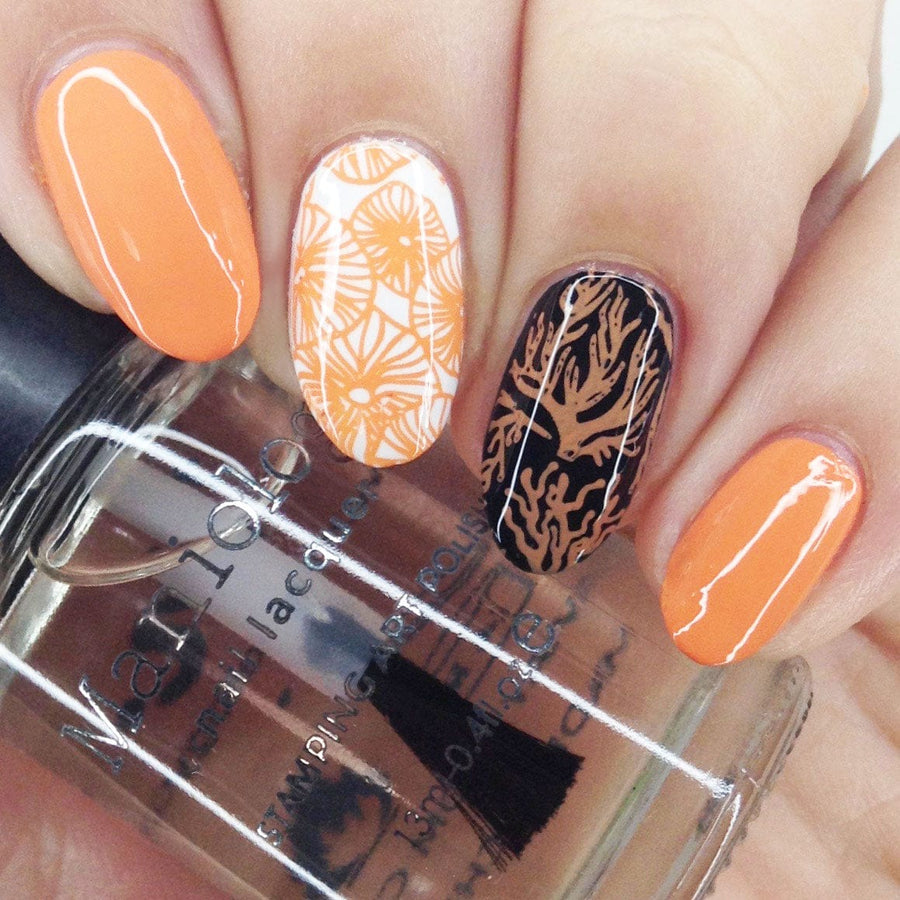 SFAC: Coral Reef Alliance (m293) - Nail Stamping Plate