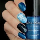 SFAC - Sea Turtle Conservancy Nail Stamping Bundle
