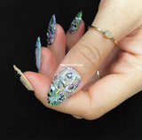 Skeletons in the Closet (M314) - Nail Stamping Plate