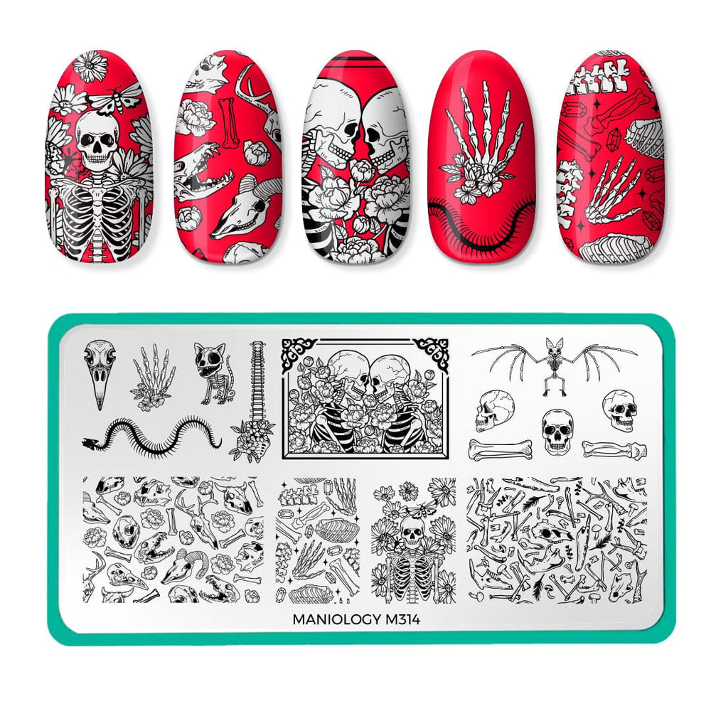 Skeletons in the Closet (M314) - Nail Stamping Plate