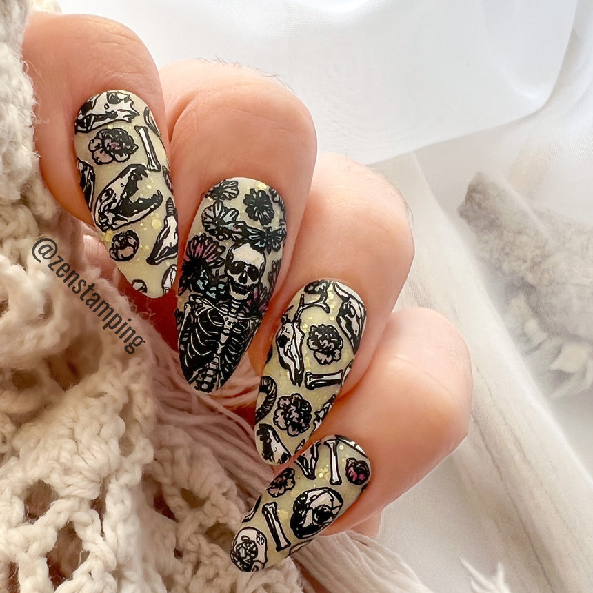 Skeletons in the Closet (M314) - Nail Stamping Plate