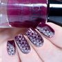 A manicured hand holding a Dark Plum Stamping Polish