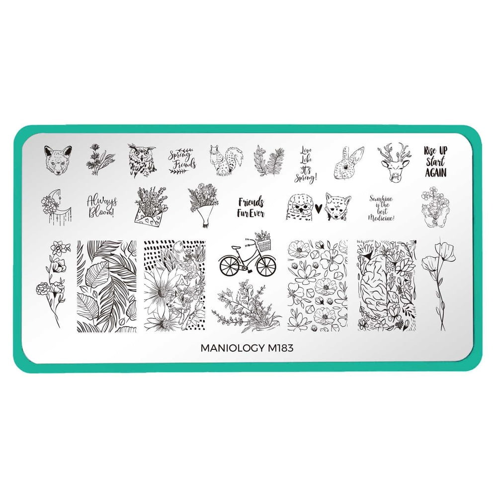 A nail stamping plate with expressions, animals, and flowers all on one plate by Maniology (m183).
