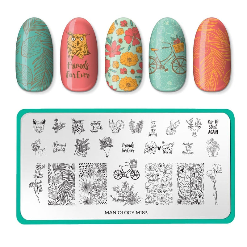 Wild About You 6 nail stamping plate, available exclusively at www