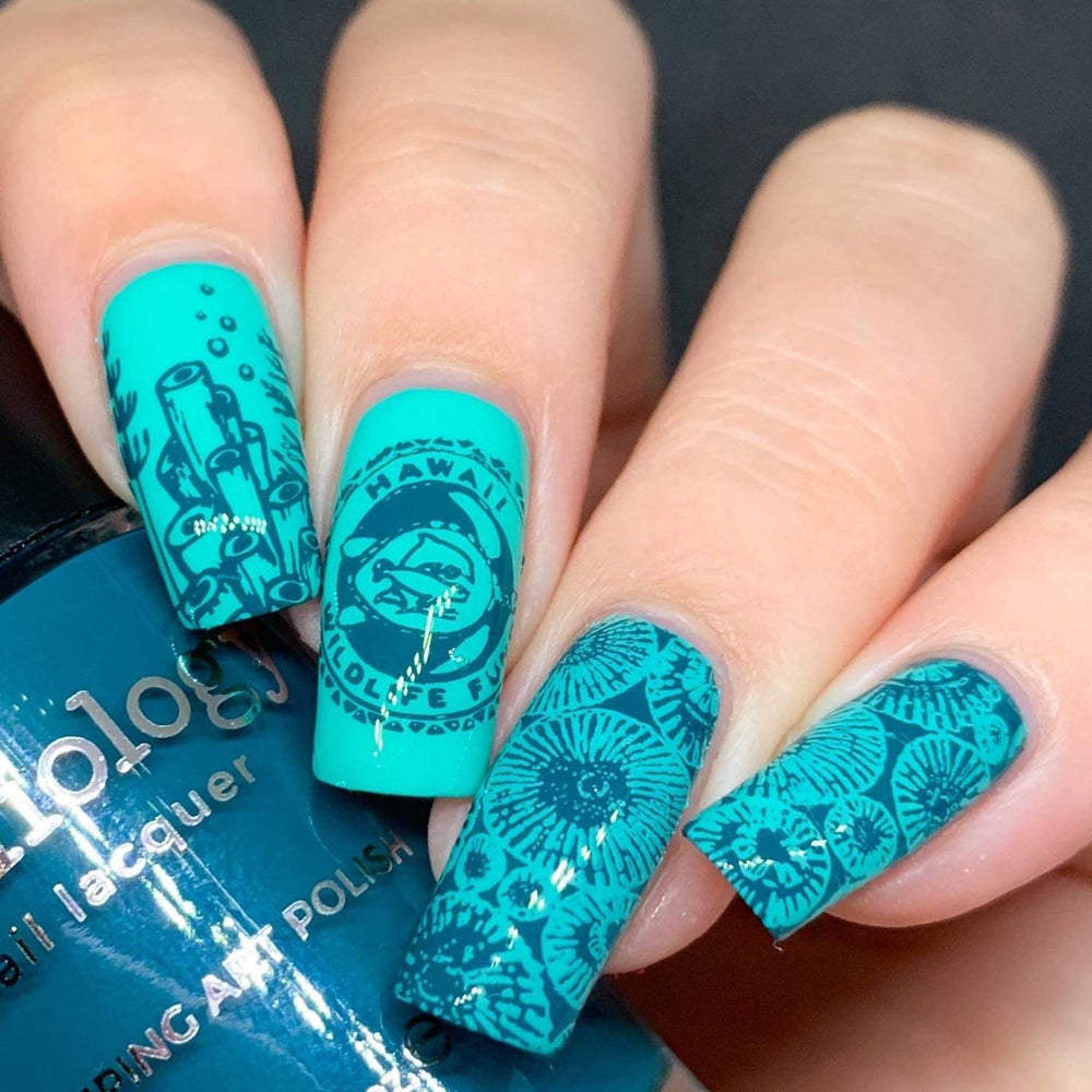 Stamp For A Cause: Hawaii Wildlife Fund (m233) - Nail Stamping Plate