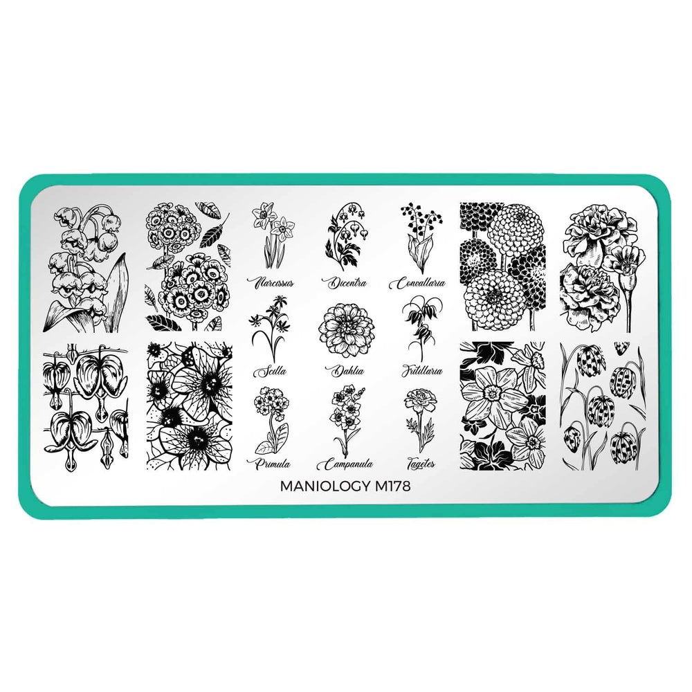 A nail stamping plate with beautifully detailed floral designs by Maniology (m178).