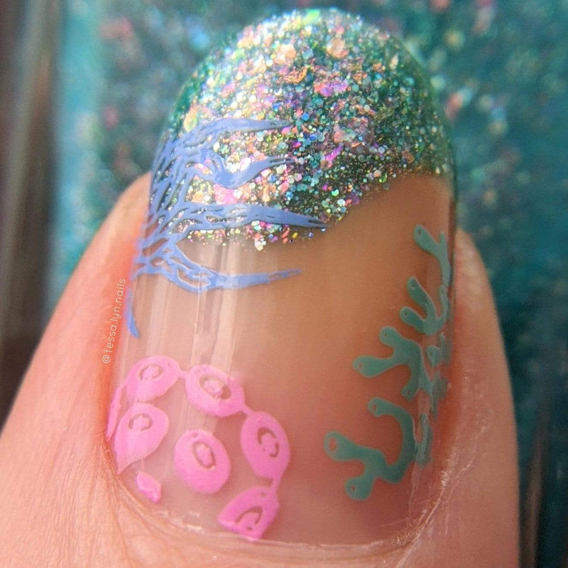 Coral Reef Under the Sea Nail Stamping Plate | Maniology