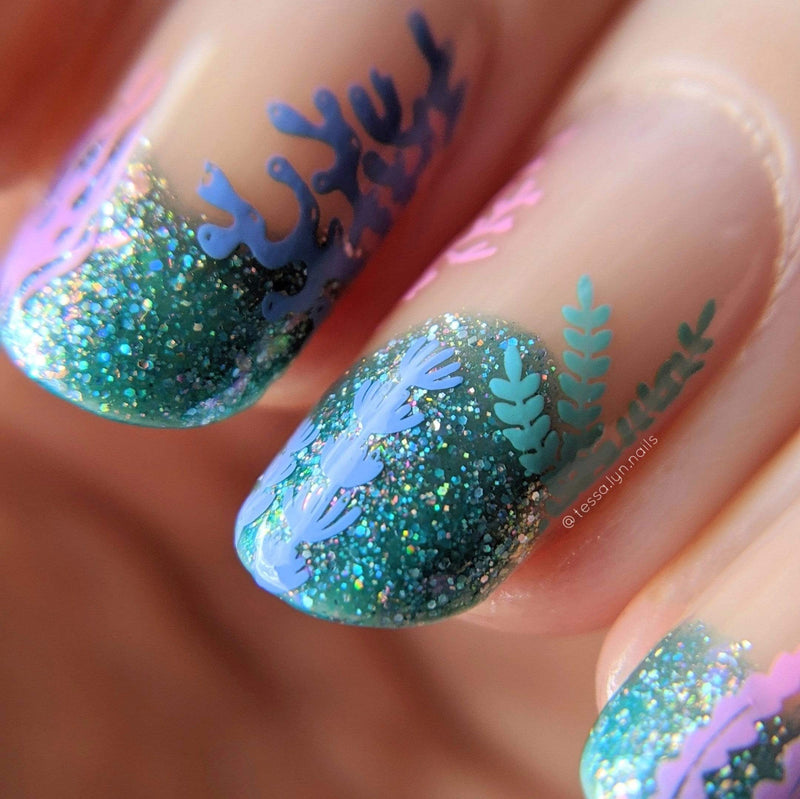 Coral Reef Under the Sea Nail Stamping Plate | Maniology