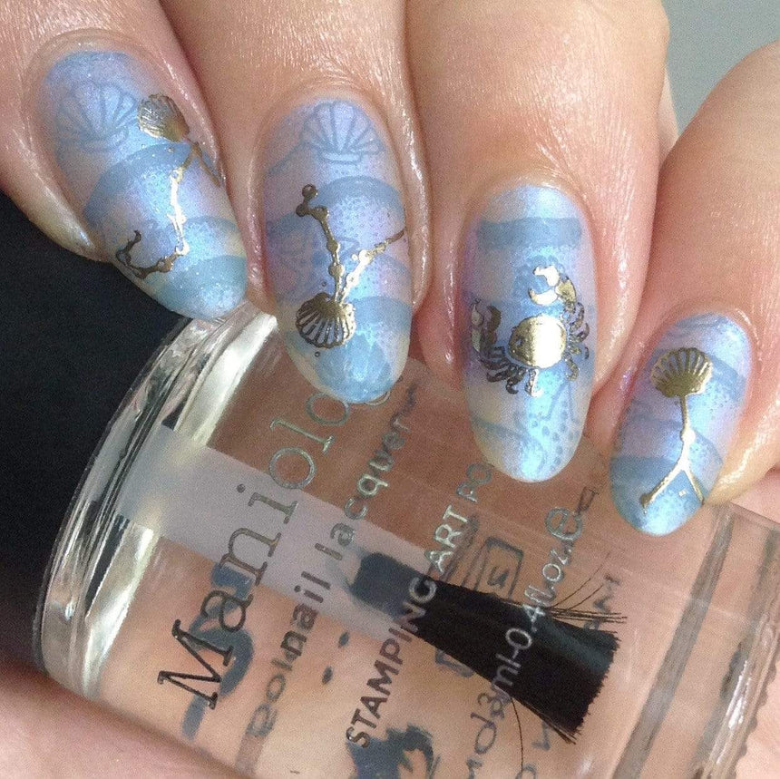 Star Signs: Zodiac ID (MXM045) - Nail Stamping Plate