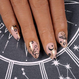 Star Signs: Zodiac ID (MXM045) - Nail Stamping Plate