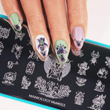 Fairy Kingdom: Fairyfolk (MXM053) - Nail Stamping Plate