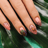 Into the Wild: Jungle Beat (MXM083) - Nail Stamping Plate