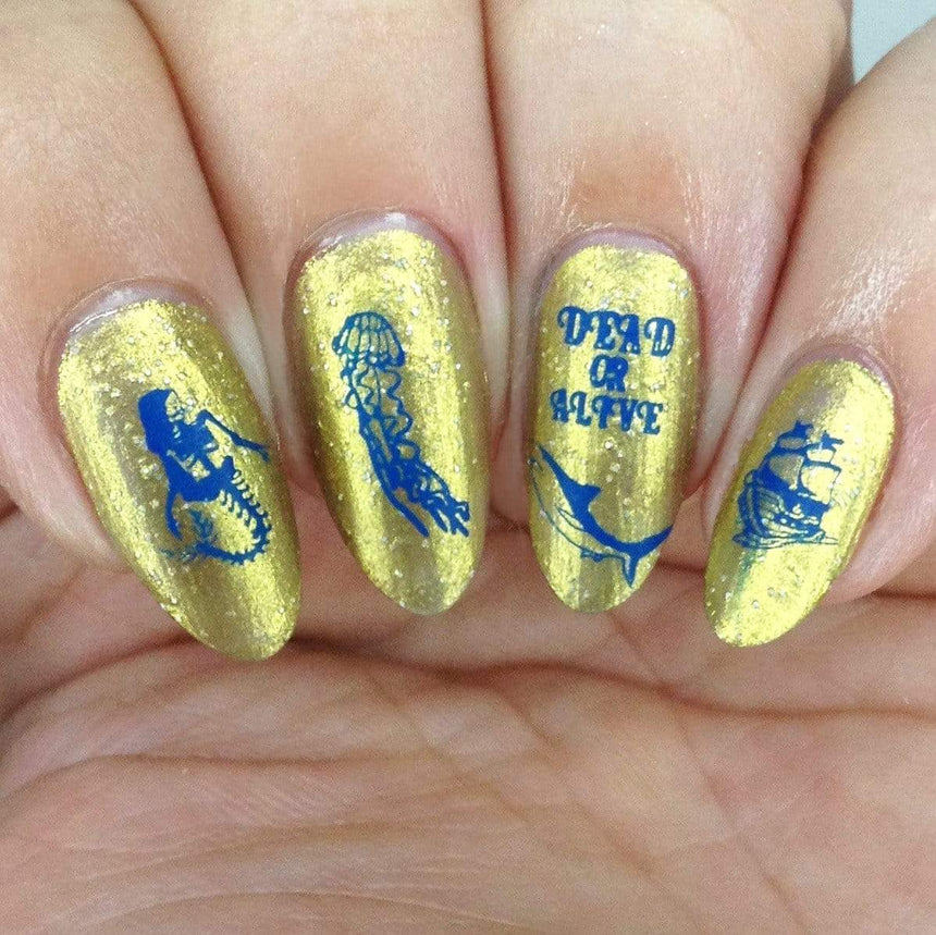 High Seas: X Marks the Spot (MXM058) - Nail Stamping Plate