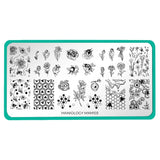 Bees & Blooms: Honey Drip (MXM103) - Nail Stamping Plate